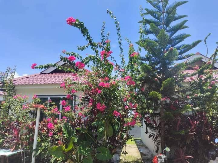 Langkawi Homestay Bunga Padi 瓜埠 外观 照片